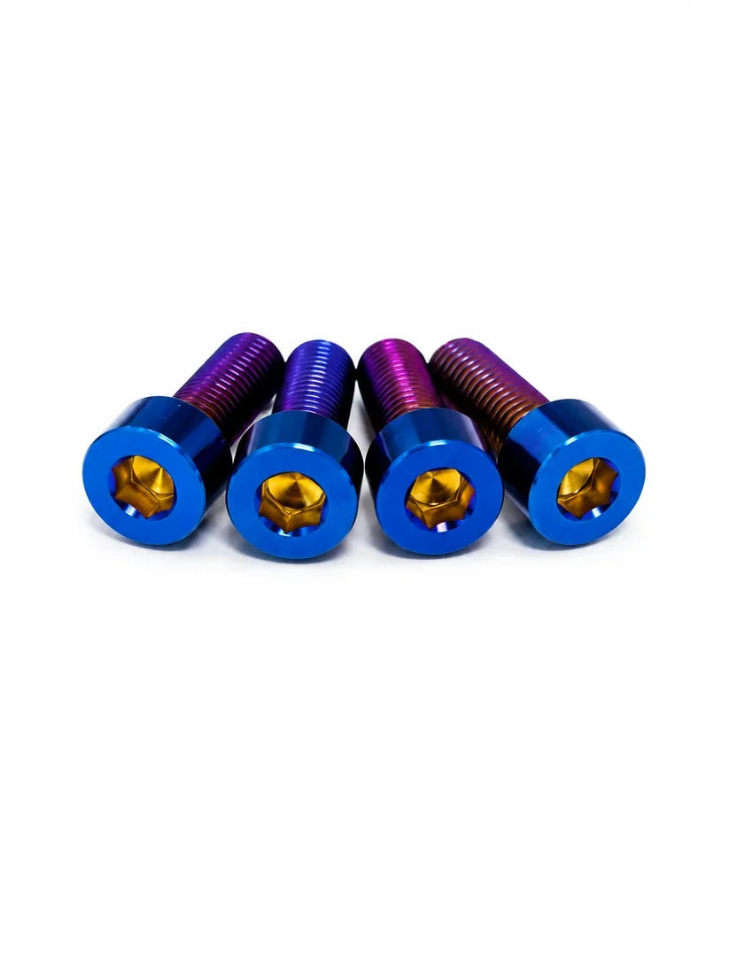 individual titanium bolts